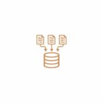 Datamanagement in de zorg. Pleysieradvies.